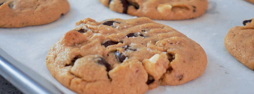 Picture of freshly baked Peanut Butter Chocolate Chip Cookies fresh out of the oven.