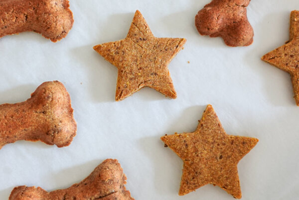 Peanut butter flaxseed cookies for dogs on a baking pan.